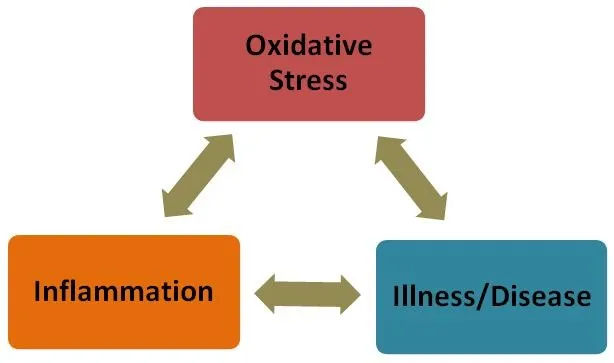 Is inflammation making you sick?